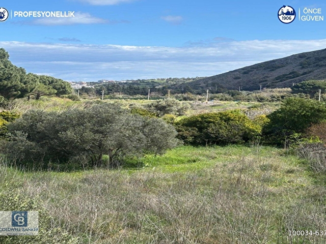 Karaburun Hassekide 9330 m² Satılık Tarla - Görsel 10