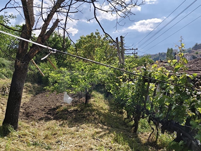 Safranbolu Babasultan Da 1650 M2 Bahçeli Tarihi Tescilli Konak - Görsel 22
