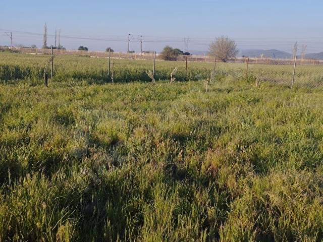 KARDEŞLER EMLAKTAN BARBOROSTA SATILIK 390m2 BAHÇE - Görsel 9
