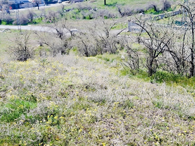 Ulaşımı Rahat, Değer Artışı Beklenen Bölge villa arsası
