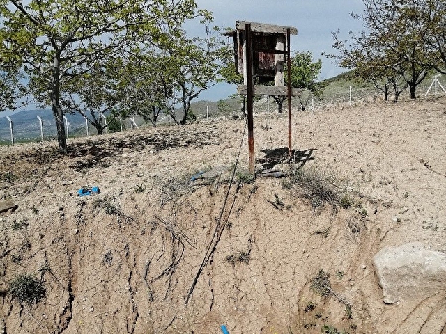 Sahibinden 8000 m2 Tek Tapu Ceviz  Bahçesi - Görsel 4