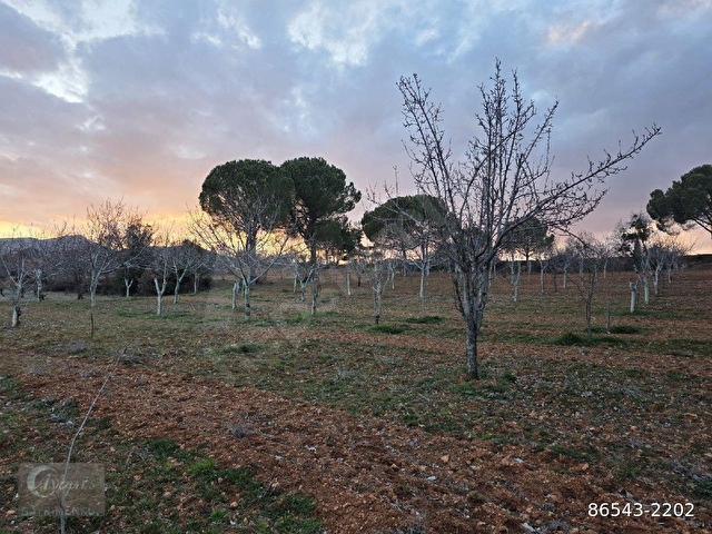 AYBARSTAN YUKARISEYİTTE SATILIK 5325 M2 BAHÇE - Görsel 10
