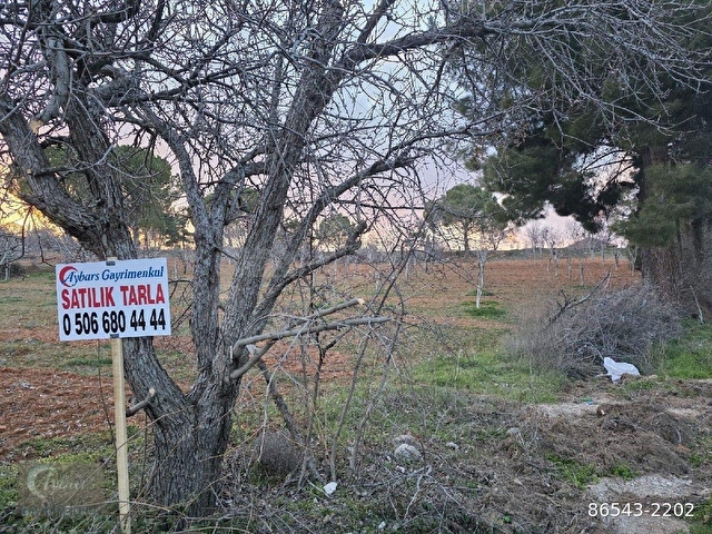 AYBARSTAN YUKARISEYİTTE SATILIK 5325 M2 BAHÇE - Görsel 14
