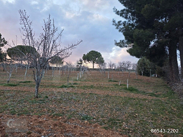 AYBARSTAN YUKARISEYİTTE SATILIK 5325 M2 BAHÇE - Görsel 15