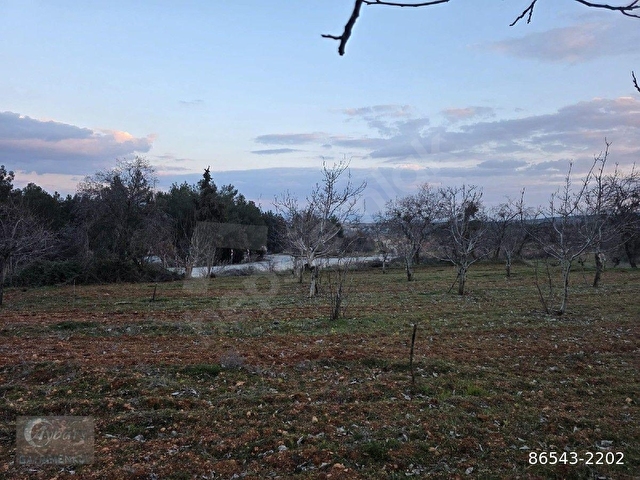 AYBARSTAN YUKARISEYİTTE SATILIK 5325 M2 BAHÇE - Görsel 18