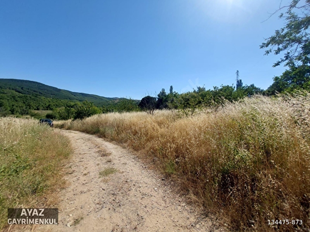 ŞARKÖY YAYAKÖYDE CİNS DEĞİŞİKLİĞİ POTANSİYELLİ 1000 M² ARAZİ - Görsel 7