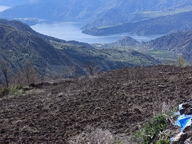 ÇALYAYLA KÖYÜNDE 8650m2 TARLA - Görsel 2