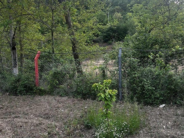 GÜNEY CİVARI ELEKTİRİK VE SUYU BULUNAN BAHÇEMİZ SATILIKTIR - Görsel 14