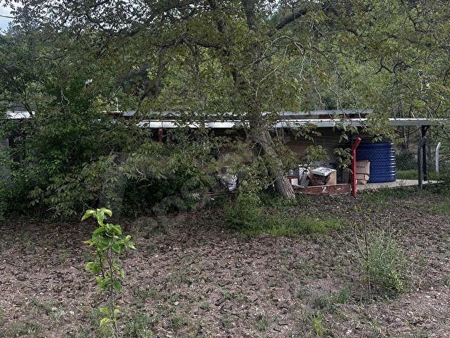 GÜNEY CİVARI ELEKTİRİK VE SUYU BULUNAN BAHÇEMİZ SATILIKTIR - Görsel 11