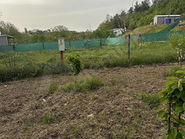 GÜNEY CİVARI ELEKTİRİK VE SUYU BULUNAN BAHÇEMİZ SATILIKTIR - Görsel 17