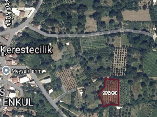 KOZLUÖRENDE SATILIK 2.856 m2 BAHÇE - Görsel 4