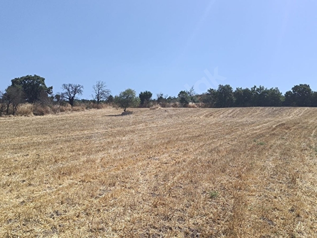 GÖL KENARI ,DOĞA MANZARALI 5842 M2 ARAZİ - Görsel 8
