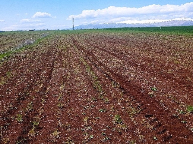 Adıyaman merkez Hacıhalil köyü Yeni cezaevi batısı 5 dönüm hisseli yeri belirlendi