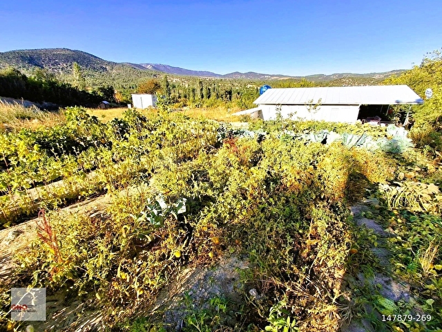 KORKUTELİ: SÜLEKLERDE, SATILIK 1333M² BAHÇE İÇERİSİNDE 2+1 EV - Görsel 5