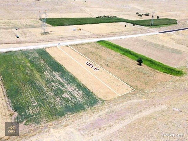 AKÖREN ORHANİYEDE ASVALT YOLA SIFIR 1.201 M² SULAK ARAZİ - Görsel 2