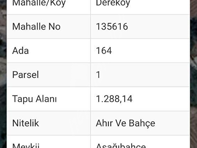GÖKOVA KÖRFEZİ MİLAS ÖREN YAKINLARIN DA SATILIK KÖY EVİ - Görsel 13