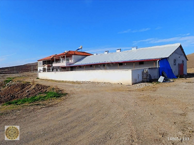 MAHZEMİNDE SATILIK HAZIR KURULU BESİ ÇİFTLİĞİ SON FIRSAT - Görsel 12