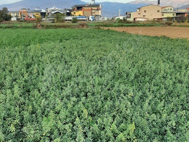 Türkellide 587m2 Novada Karşısında Hobi Bahçesi