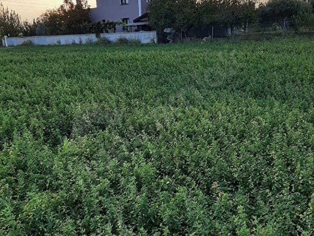 Türkellide 587m2 Novada Karşısında Hobi Bahçesi - Görsel 4