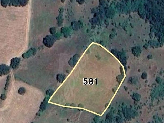 LACİVERTCADDE ÇANAKKALE BİGADA TEK YETKİLİ 3.600 M² NET TARLA - Görsel 4