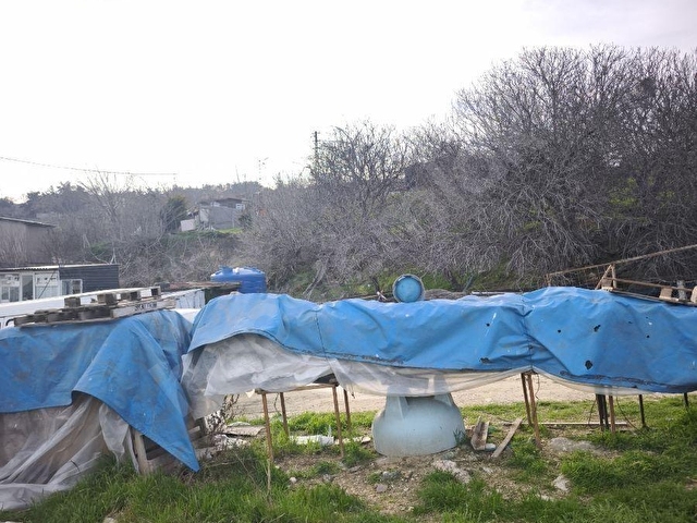 ARAÇ TAKASLİ ARSA - Görsel 8