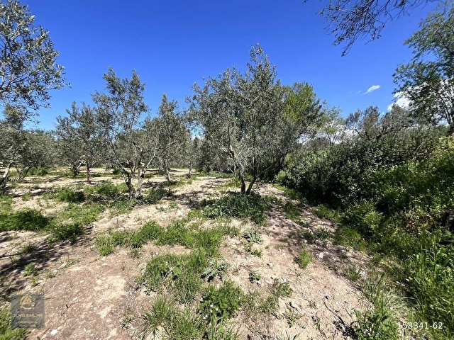 GEYİKLİYE 1 KİLOMETREDE 764m2 RESMİ YOLA CEPHELİ HOBİ BAHÇESİ - Görsel 30