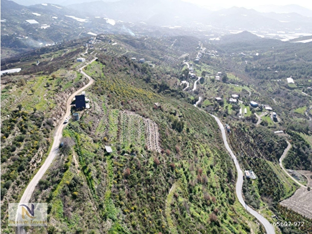🌱ALANYA İSBATLI SATILIK 8 DÖNÜM TARLA VE 2 BUNGALOV 🏡 - Görsel 3