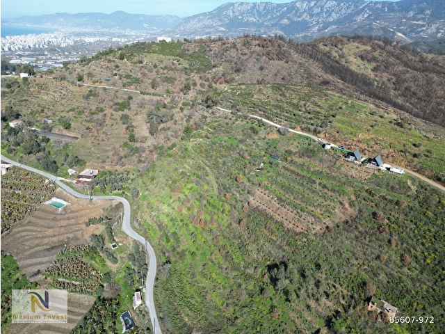 🌱ALANYA İSBATLI SATILIK 8 DÖNÜM TARLA VE 2 BUNGALOV 🏡 - Görsel 5