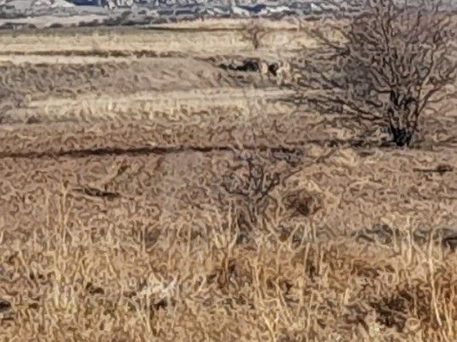 BAŞKENT EMLAKTAN UÇHISAR DA TARLA - Görsel 2