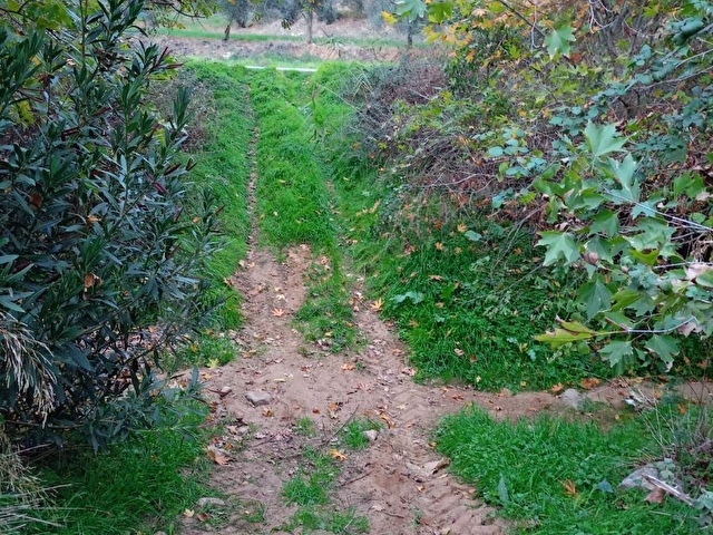 BiRGİ BUCAKTA SATILIK YOL KENARINDA TARLA - Görsel 6