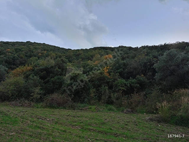 BiRGİ BUCAKTA SATILIK YOL KENARINDA TARLA - Görsel 16