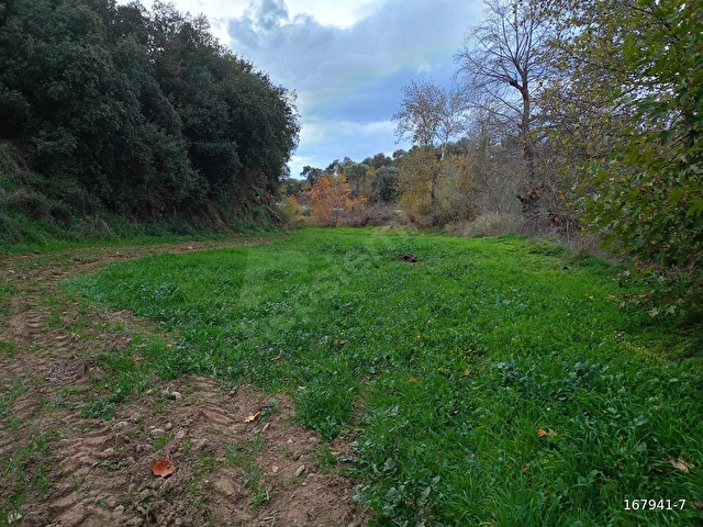 BiRGİ BUCAKTA SATILIK YOL KENARINDA TARLA - Görsel 28