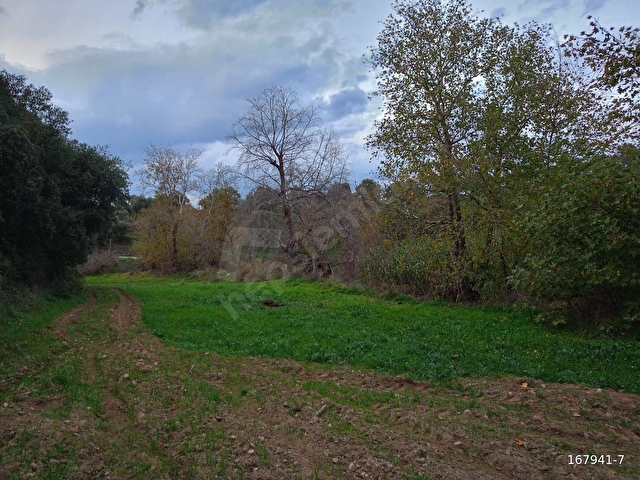 BiRGİ BUCAKTA SATILIK YOL KENARINDA TARLA - Görsel 9
