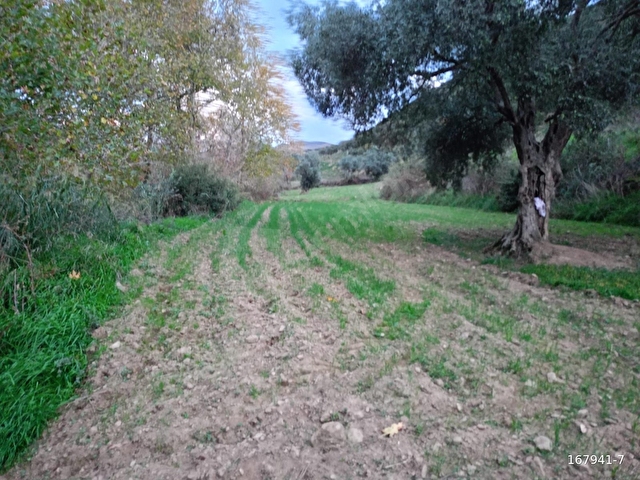 BiRGİ BUCAKTA SATILIK YOL KENARINDA TARLA - Görsel 20