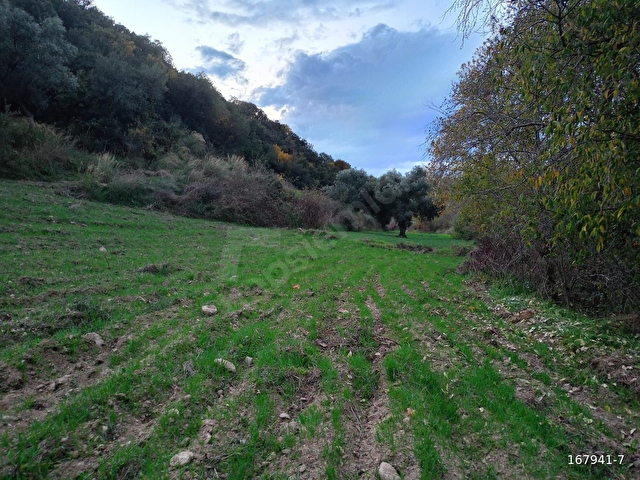 BiRGİ BUCAKTA SATILIK YOL KENARINDA TARLA - Görsel 17
