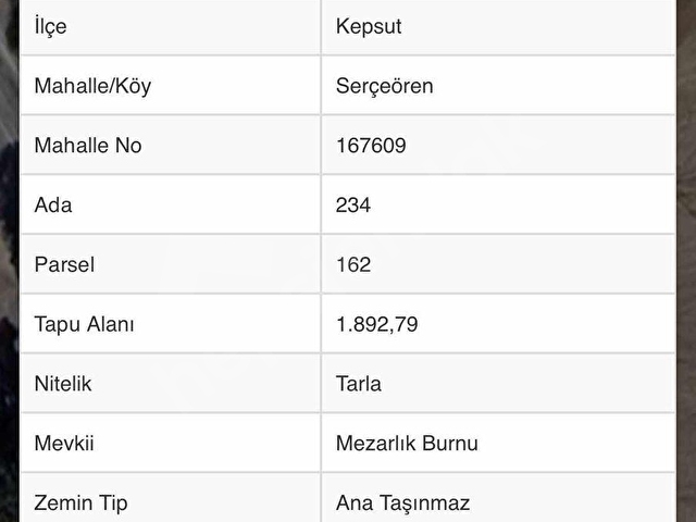 2 dönüm asfalta cephe tarla Kepsut Balıkesir - Görsel 3