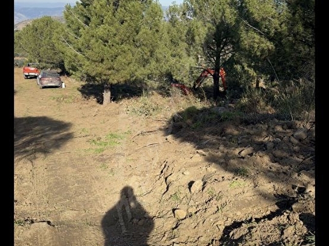 106 000 m2 1600 adet fıstık çamlığı - Görsel 16