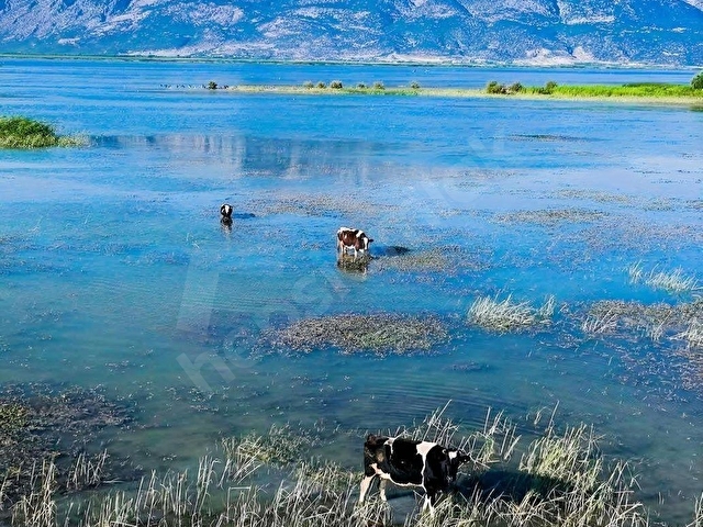 DENİZLİ ÇİVRİLDE GÖL MANZARALI ASFALT YOL ÜSTÜ 5.382m² ARAZİ