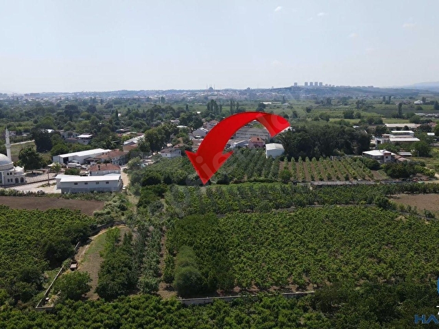 BÖLGE UZMANI HAS EMLAK 1636M2 RESMİ YOLU OLAN ARAZİ - Görsel 11