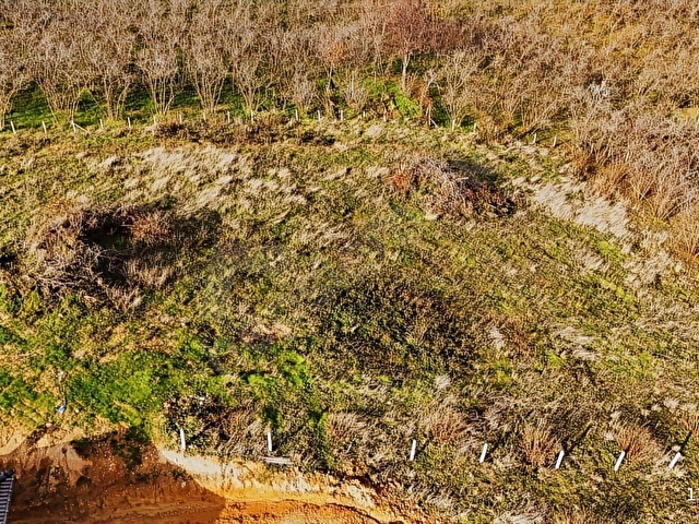 SAKARYA KOCAALİ DE DOĞA MANZARALI HAZIR PROJELİ 796 M2 ARSA - Görsel 15