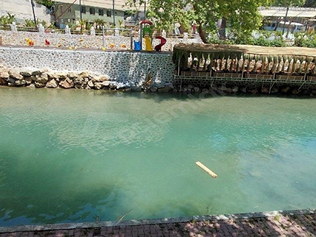 DIMCAYINDA  KIRALIK 2100M² PIKNIK ALANI  2 YOL ARASI CAYA SIFIR KONUMDA