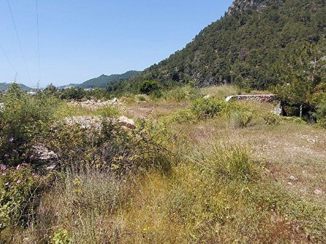 DIMCAYINDA  KIRALIK 2100M² PIKNIK ALANI  2 YOL ARASI CAYA SIFIR KONUMDA - Görsel 7