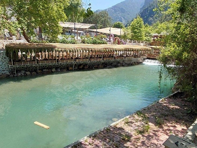 DIMCAYINDA  KIRALIK 2100M² PIKNIK ALANI  2 YOL ARASI CAYA SIFIR KONUMDA - Görsel 23