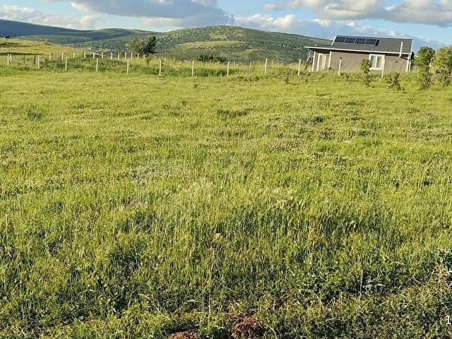 AYAŞTA TEK TAPU 2.218 M2 MUHTEŞEM KONUMDA TARLA - Görsel 4
