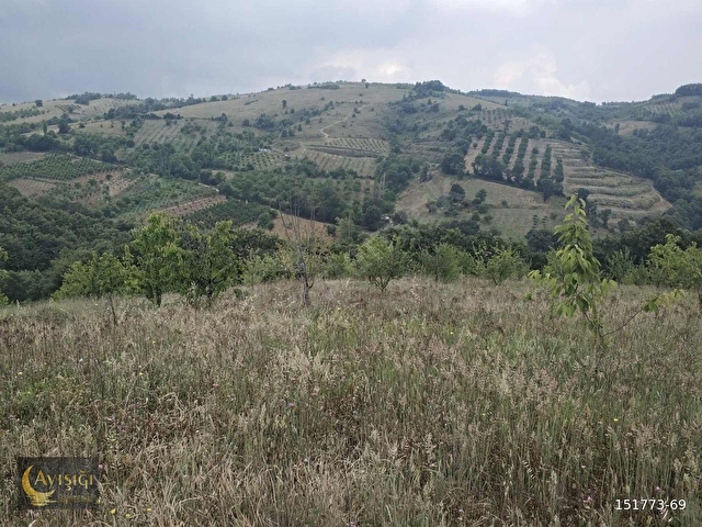BURSA İZNİK TACİR KÖYÜNDE 8.700m² SATILIK MEYVE BAHÇESİ - Görsel 10