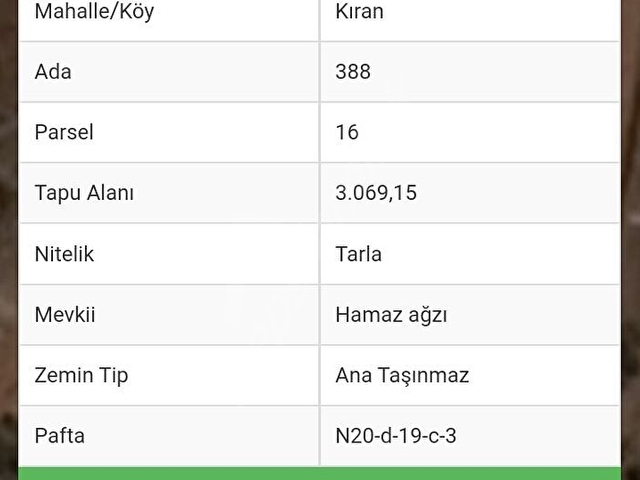 DENİZE YAKIN 300 M2 KONUT YAPI KAYIT BELGELİ SATILIK 3069 M2 ARAZİ - Görsel 2