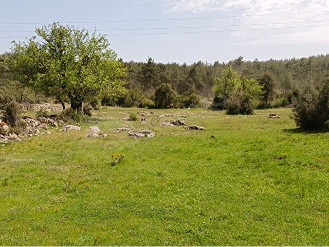 DENİZE YAKIN 300 M2 KONUT YAPI KAYIT BELGELİ SATILIK 3069 M2 ARAZİ - Görsel 12
