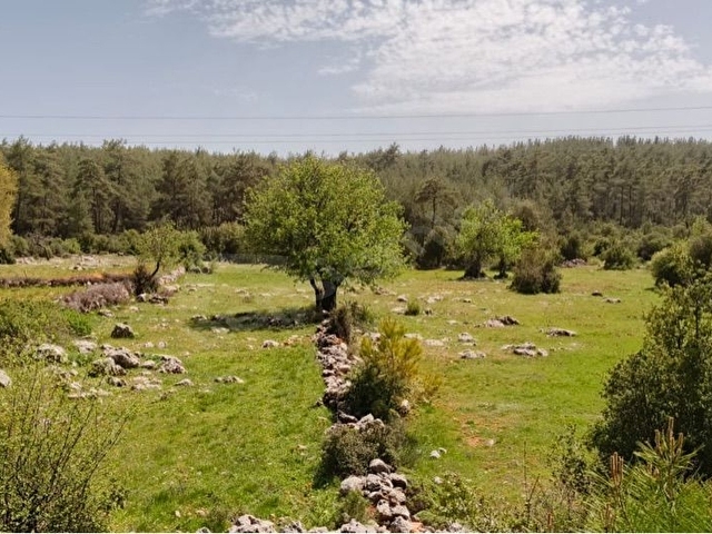 DENİZE YAKIN 300 M2 KONUT YAPI KAYIT BELGELİ SATILIK 3069 M2 ARAZİ - Görsel 13