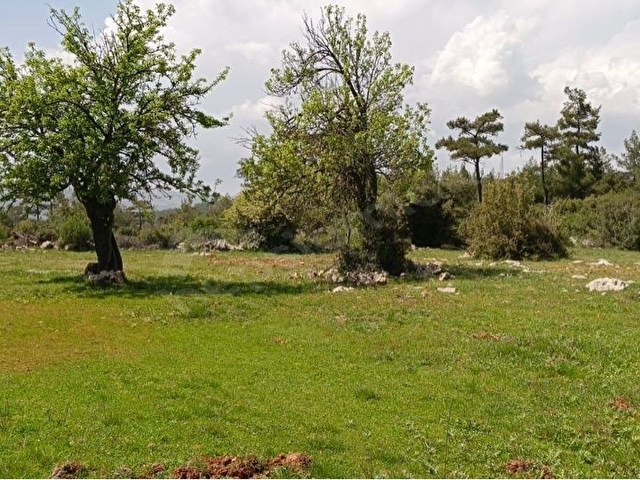 DENİZE YAKIN 300 M2 KONUT YAPI KAYIT BELGELİ SATILIK 3069 M2 ARAZİ - Görsel 10