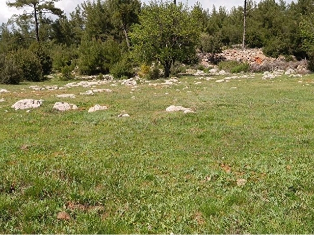 DENİZE YAKIN 300 M2 KONUT YAPI KAYIT BELGELİ SATILIK 3069 M2 ARAZİ - Görsel 14